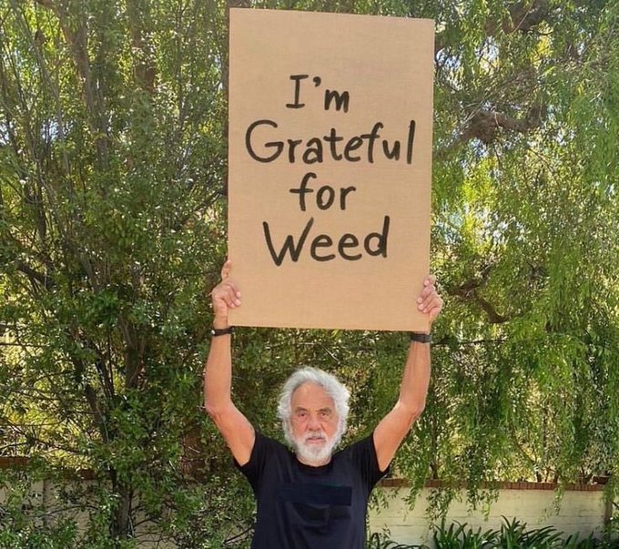 GREATFUL WEED MAN ICONIC HERO TOMMY CHONG tommychong